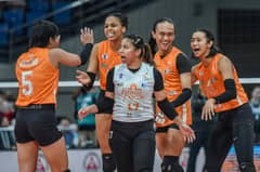 Farm Fresh tapped as PLDT replacement